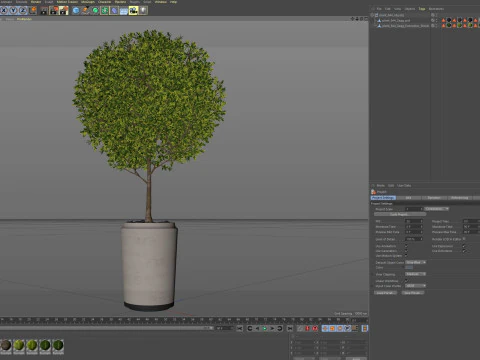 Plants collection 844 3D Model