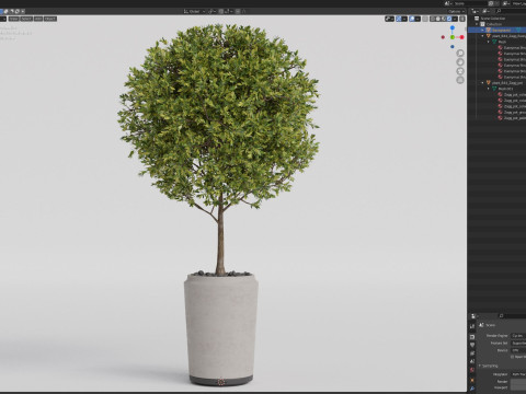 Plants collection 844 Modèle 3D