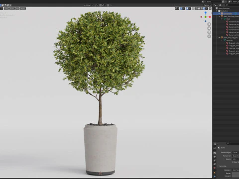 Plants collection 844 3D Model
