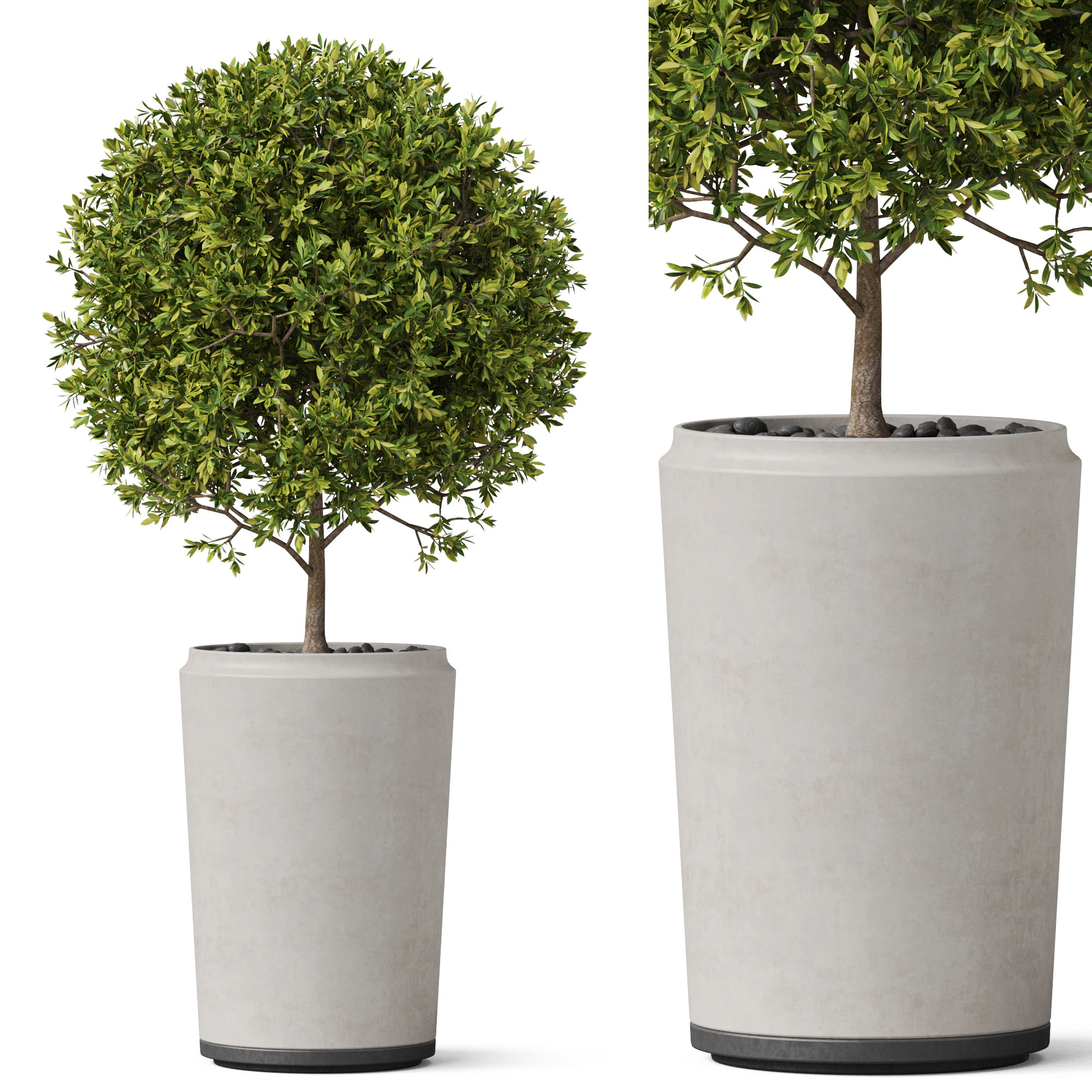 Plants collection 845 3D Model .c4d .max .obj .3ds .fbx .stl .blend 