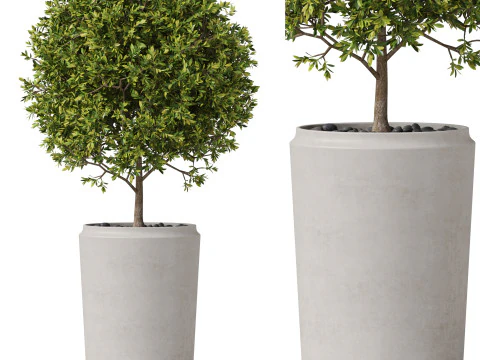 पौधों का संग्रह 845 3D मॉडल