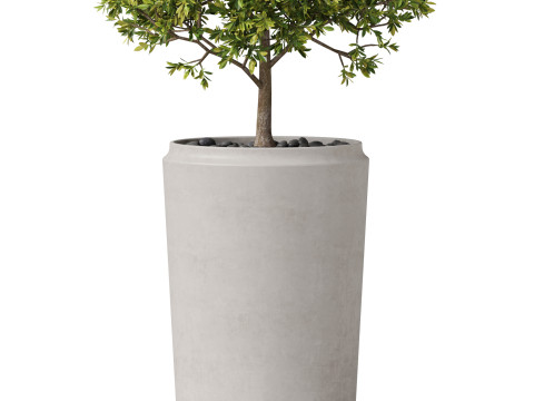 Plants collection 845 Modelo 3D