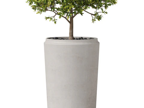 Plants collection 845 3D Model