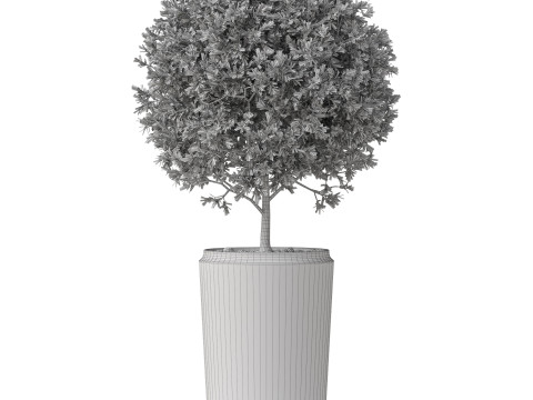 Plants collection 845 Modelo 3D