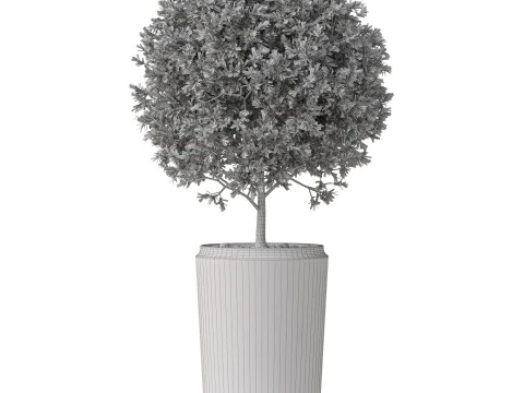 Plants collection 845 3D Model