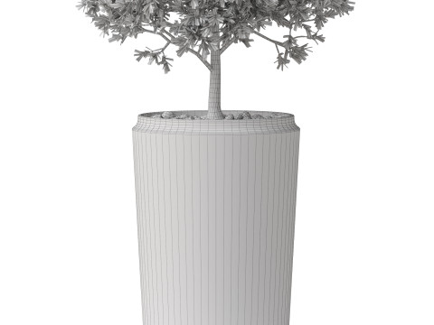 Plants collection 845 Modelo 3D