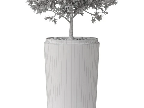 Plants collection 845 3D Model