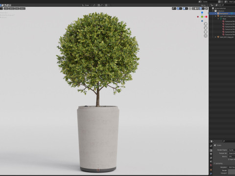 Plants collection 845 Modelo 3D