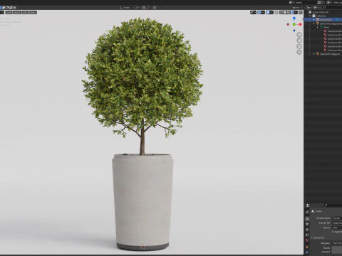 Plants collection 845 3D Model