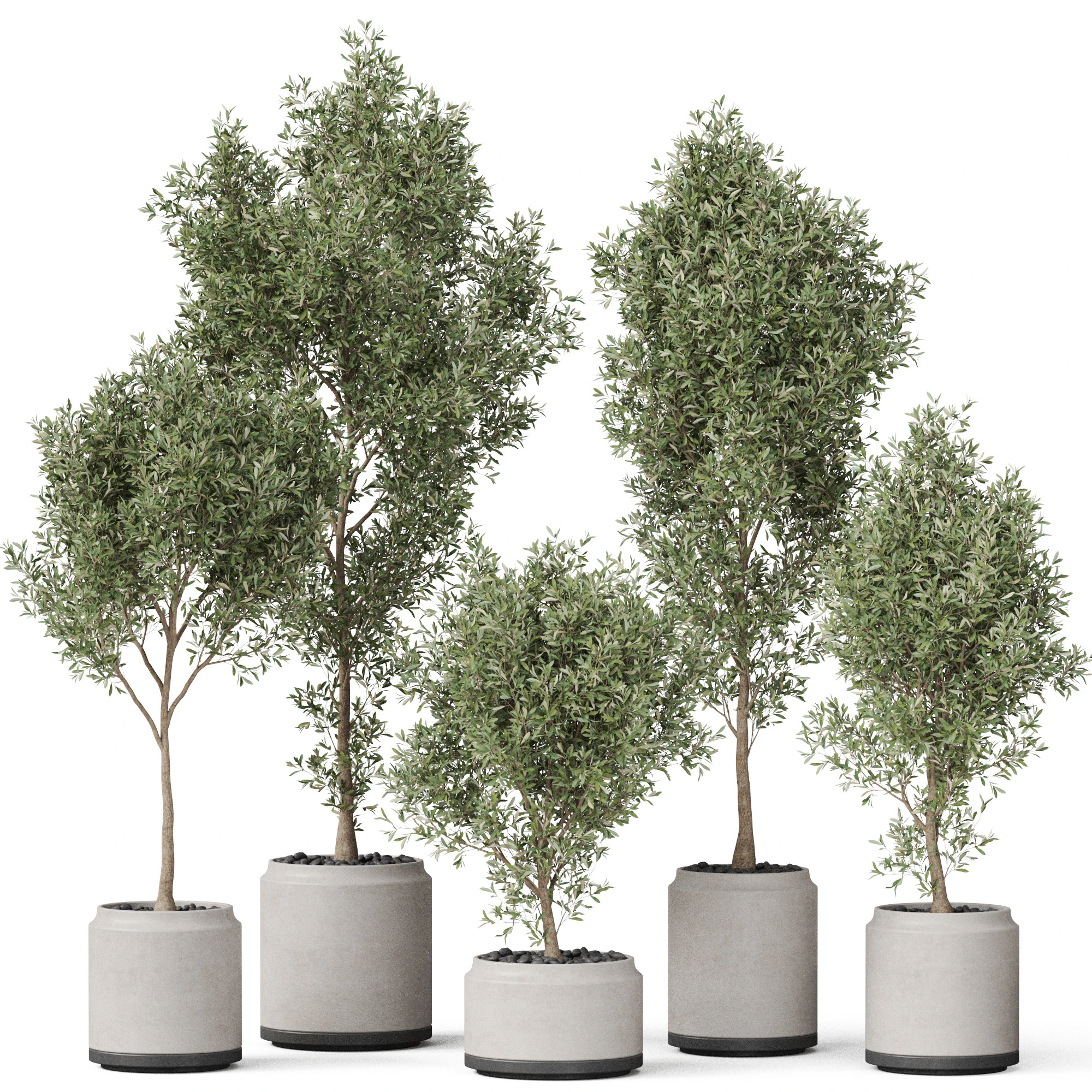 Plants collection 846 3D Model .c4d .max .obj .3ds .fbx .stl .blend