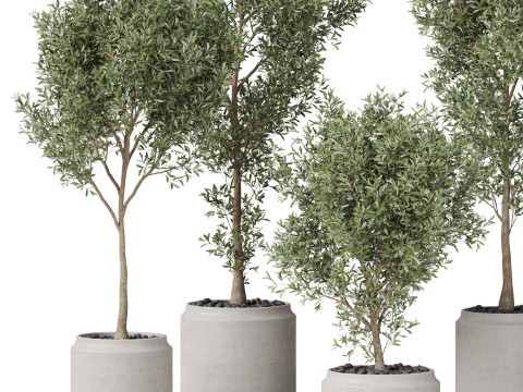 Plants collection 846 3D Model