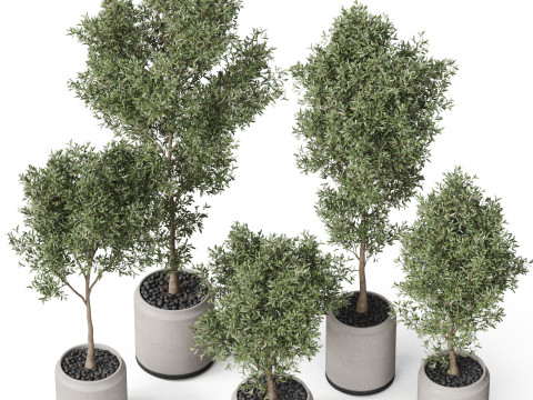 Plants collection 846 3D Model