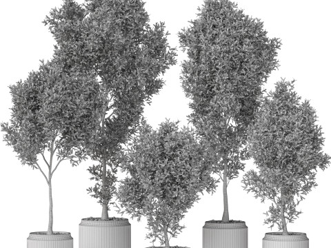 Plants collection 846 3D Model
