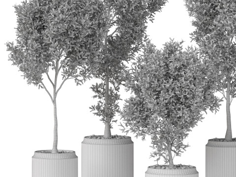Plants collection 846 3D Model