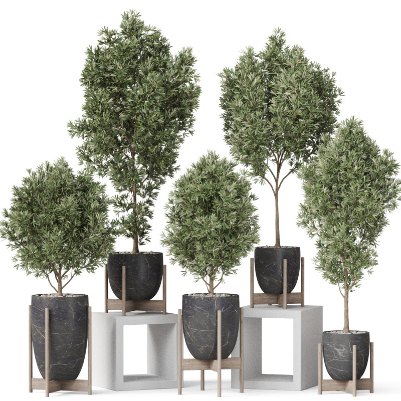 Plants collection 847 3D Модель .c4d .max .obj .3ds .fbx .stl .blend