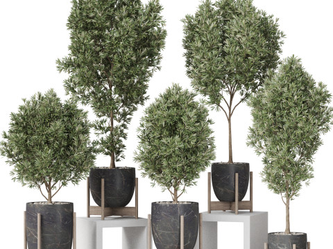 Plants collection 847 3Dモデル
