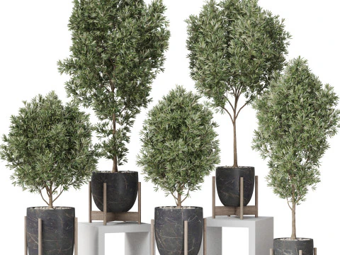 Bitki koleksiyonu 847 3D Model