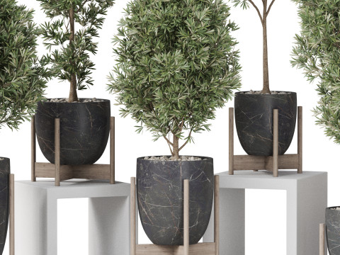 Plants collection 847 3D Модель