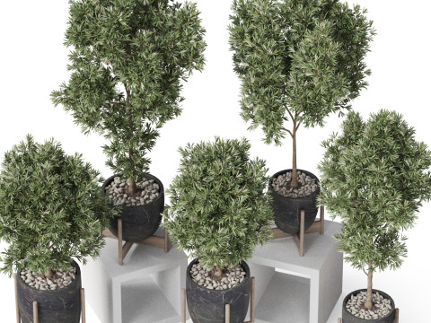 Plants collection 847 3D Модель