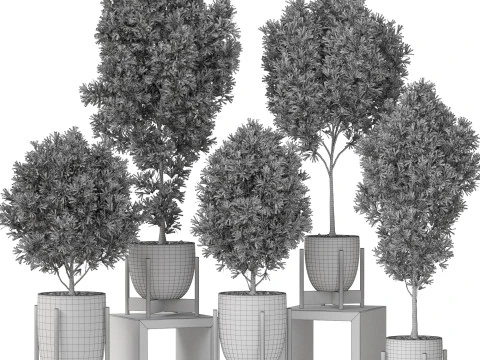 Collezione piante 847 Modello 3D