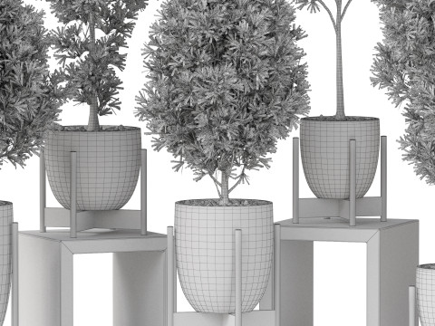 Plants collection 847 3D Модель