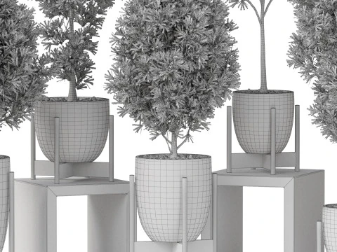 Collezione piante 847 Modello 3D