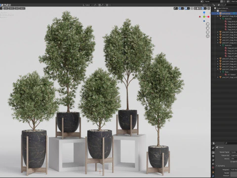 Collezione piante 847 Modello 3D