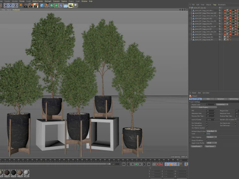 Collezione piante 847 Modello 3D