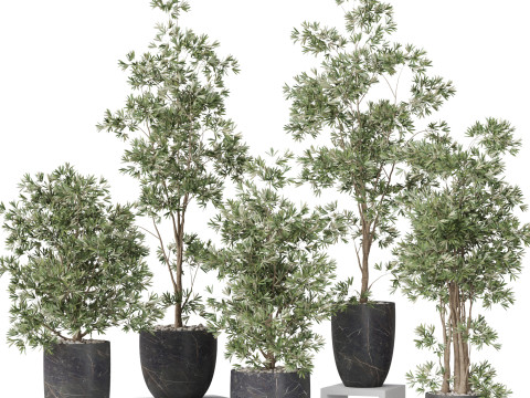 Plants collection 848 3Dモデル