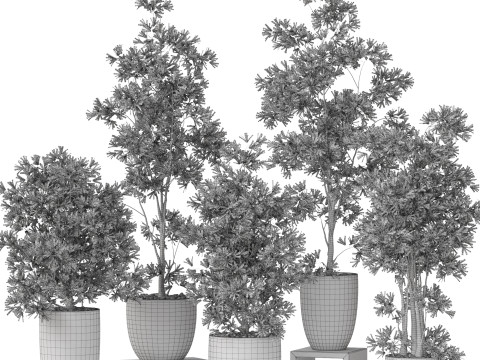Plants collection 848 3D Model
