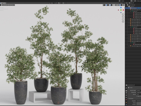Plants collection 848 3D Model