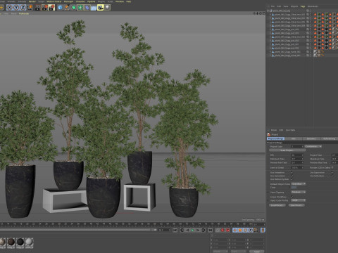 Plants collection 848 3D Model