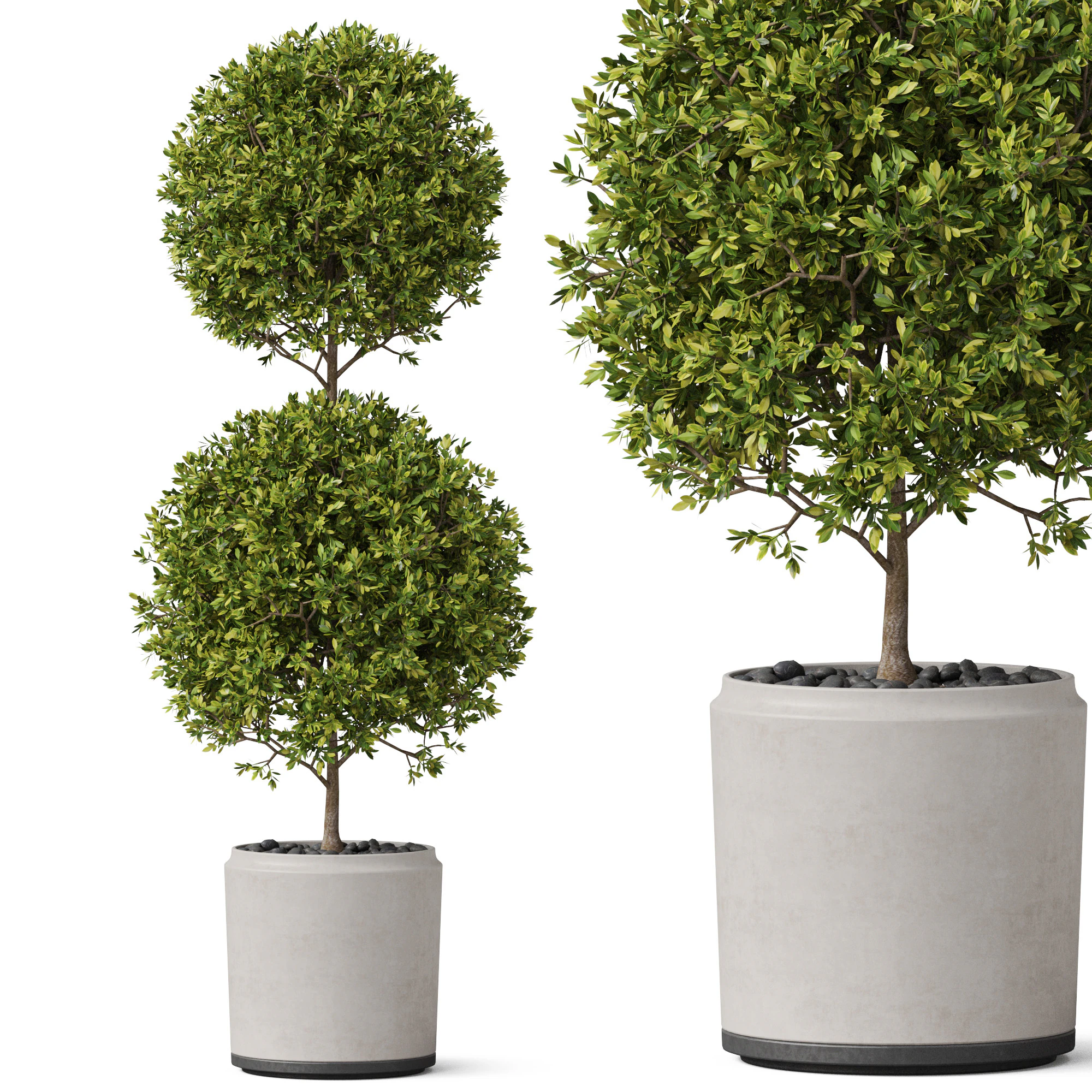 Plants collection 849 3D Model .c4d .max .obj .3ds .fbx .stl .blend 