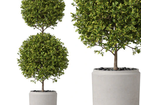 पौधों का संग्रह 849 3D मॉडल