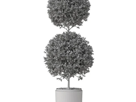 Plants collection 849 3D Model