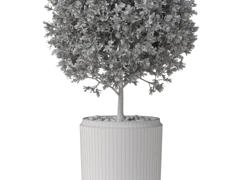 Plants collection 849 3D Model