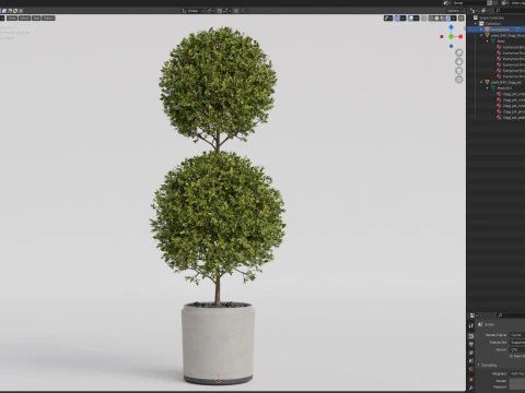 Plants collection 849 3D Model