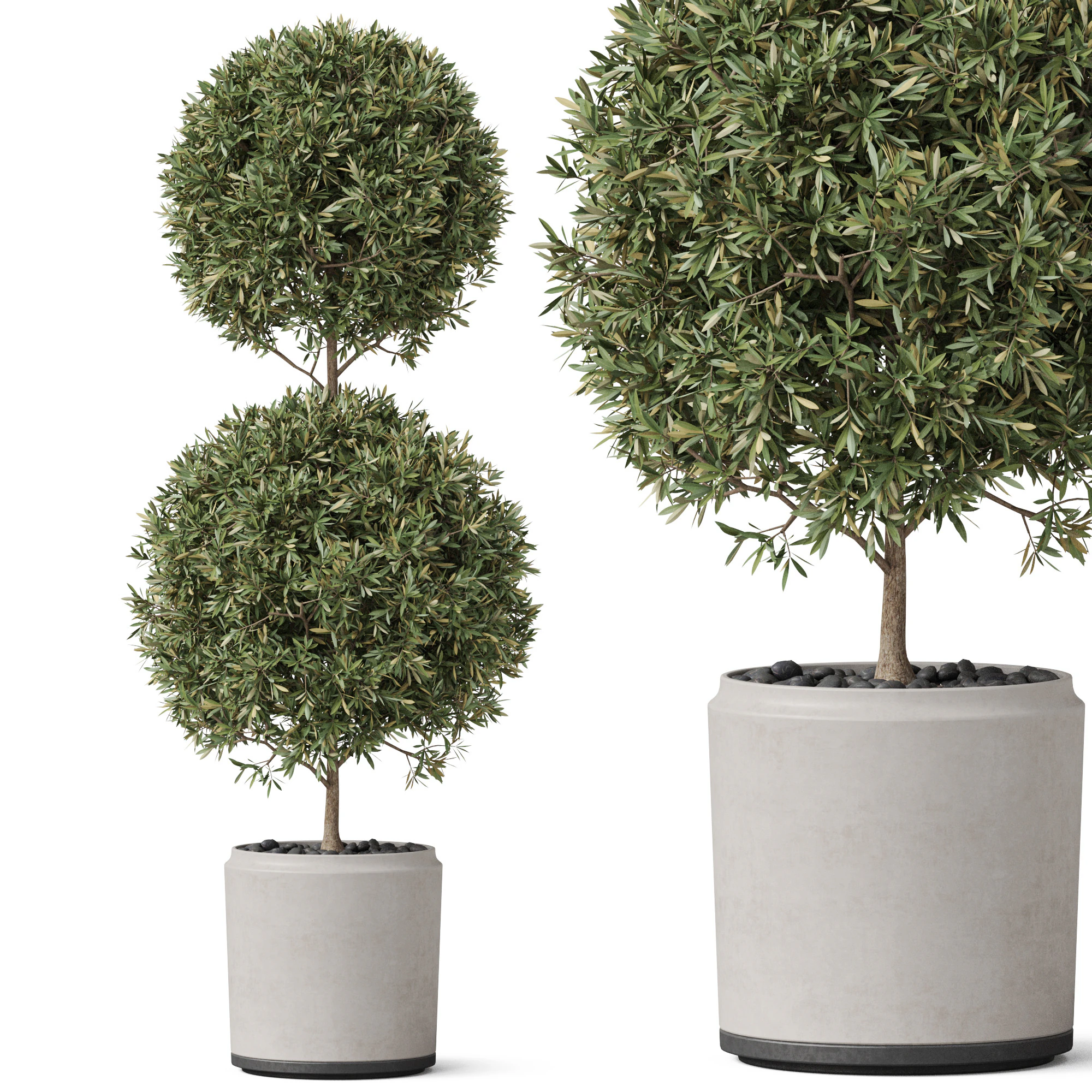 Plants collection 850 3D Model .c4d .max .obj .3ds .fbx .stl .blend 