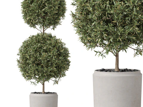 पौधों का संग्रह 850 3D मॉडल