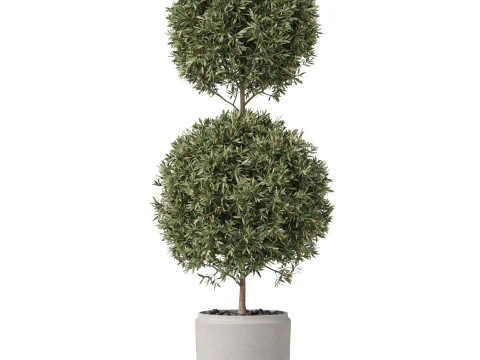 Plants collection 850 3D Model