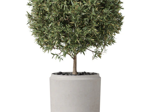 Plants collection 850 3D Model