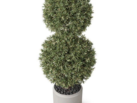 Plants collection 850 3D Model