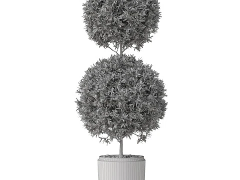 Plants collection 850 3D Model