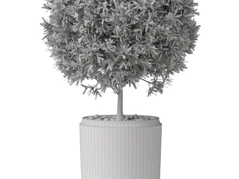 Plants collection 850 3D Model