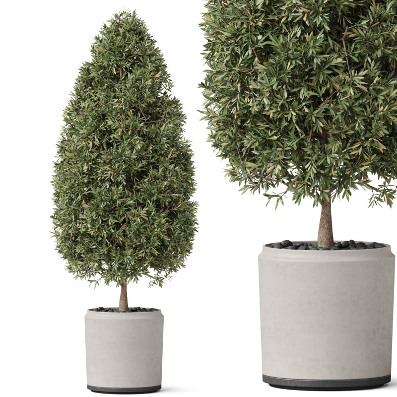Plants collection 851 Modèle 3D .c4d .max .obj .3ds .fbx .stl .blend