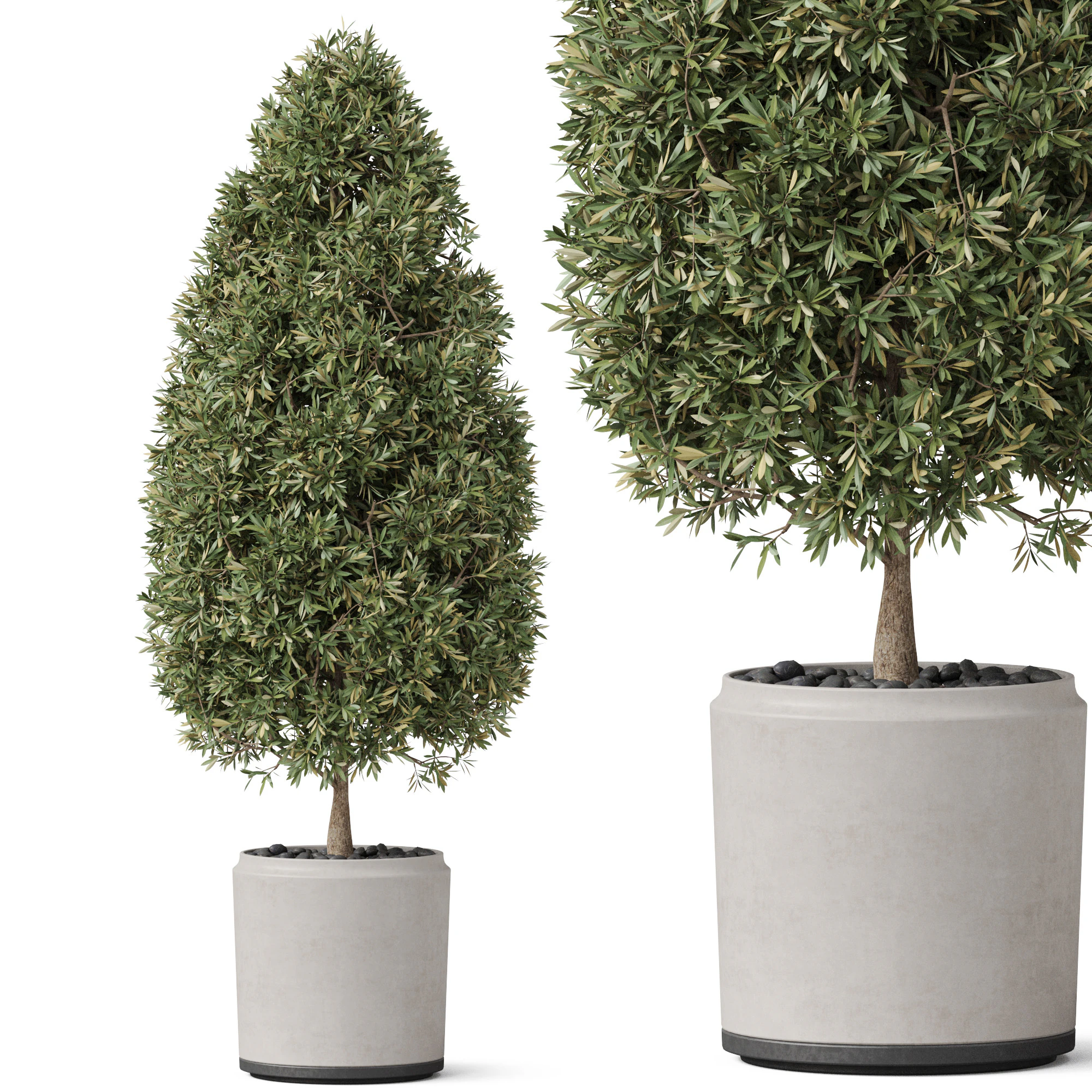 Plants collection 851 3D Model .c4d .max .obj .3ds .fbx .stl .blend 