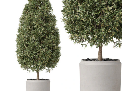 पौधों का संग्रह 851 3D मॉडल