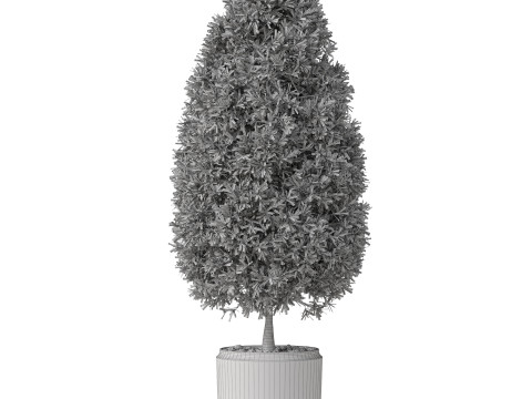 Plants collection 851 Modèle 3D
