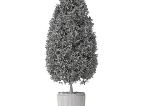 Plants collection 851 3D Model