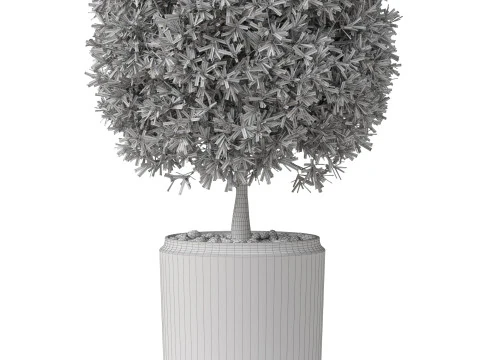 Plants collection 851 3D Model